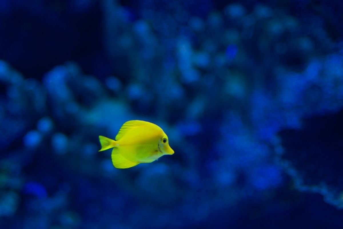 Antalya Aquarium Holiday 2023